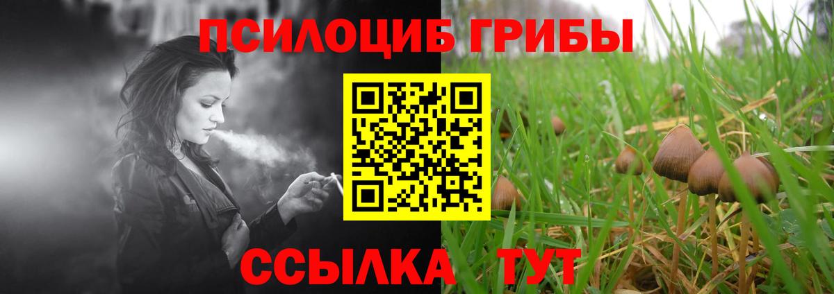 Галлюциногенные грибы Psilocybine cubensis  Псилоцибиновые грибы мухоморы  Рубцовск  Вход с VPN 